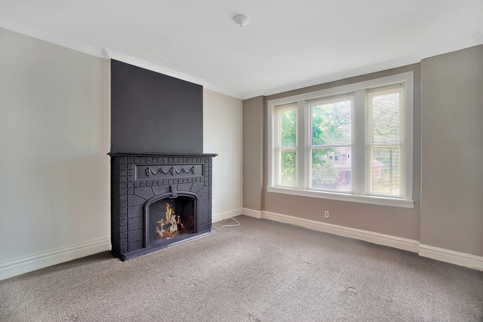 9733 South Charles Street Chicago, IL 60643 - Photo 3 of 26 a living room with furniture and a fireplace