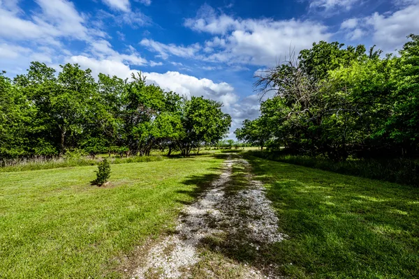 $1,379,000 | 177 County Road 241, Kosse, TX 76653