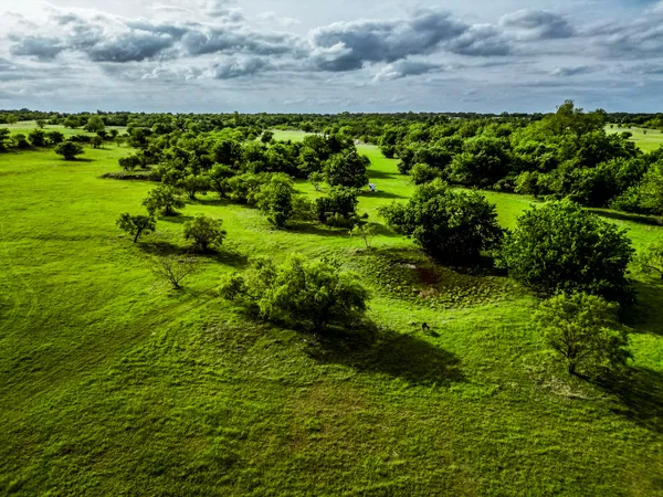 $1,379,000 | 177 County Road 241, Kosse, TX 76653