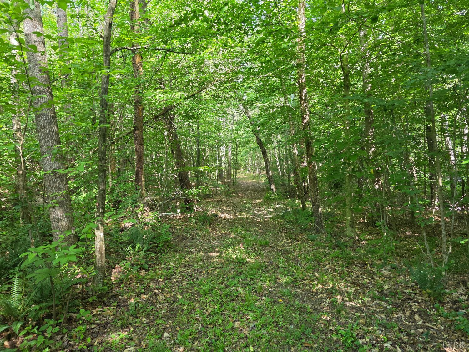 1408 Coleman Mountain Road Appomattox, VA 24522 - Photo 83 of 85