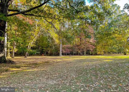 a view of a tennis court