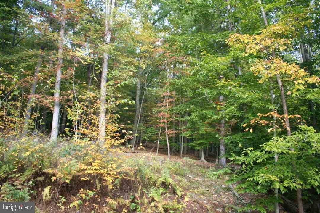 1275 Mt Hope Road Fairfield, PA 17320 - Photo 5 of 33