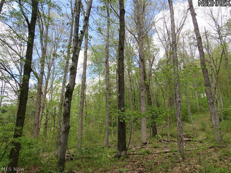 Dublin Road Bowerston, OH 44695 - Photo 3 of 5