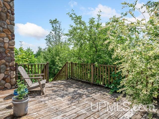 509 Dukes Road Skandia, MI 49885 - Photo 41 of 63