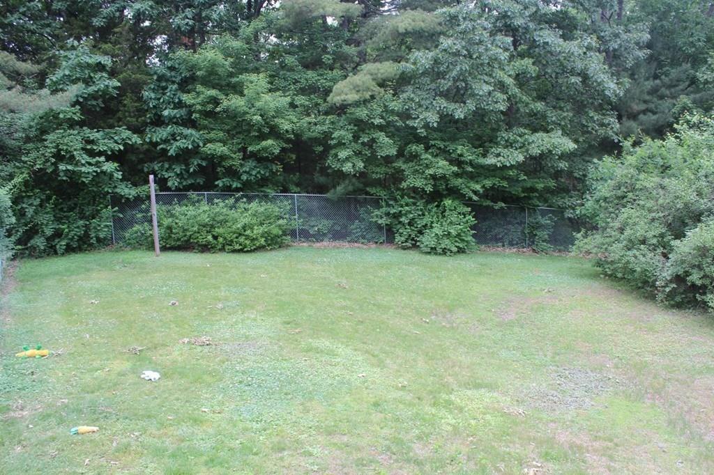 63 Grove Street Upton, MA 01568 - Photo 35 of 42 a view of a big yard with plants and large trees
