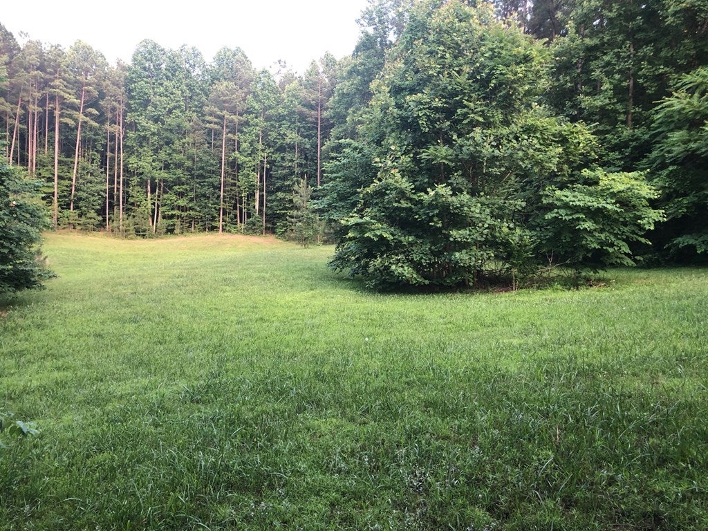 234 Scotts Bottom Road Dillwyn, VA 23936 - Photo 25 of 28 Gallery Image 25