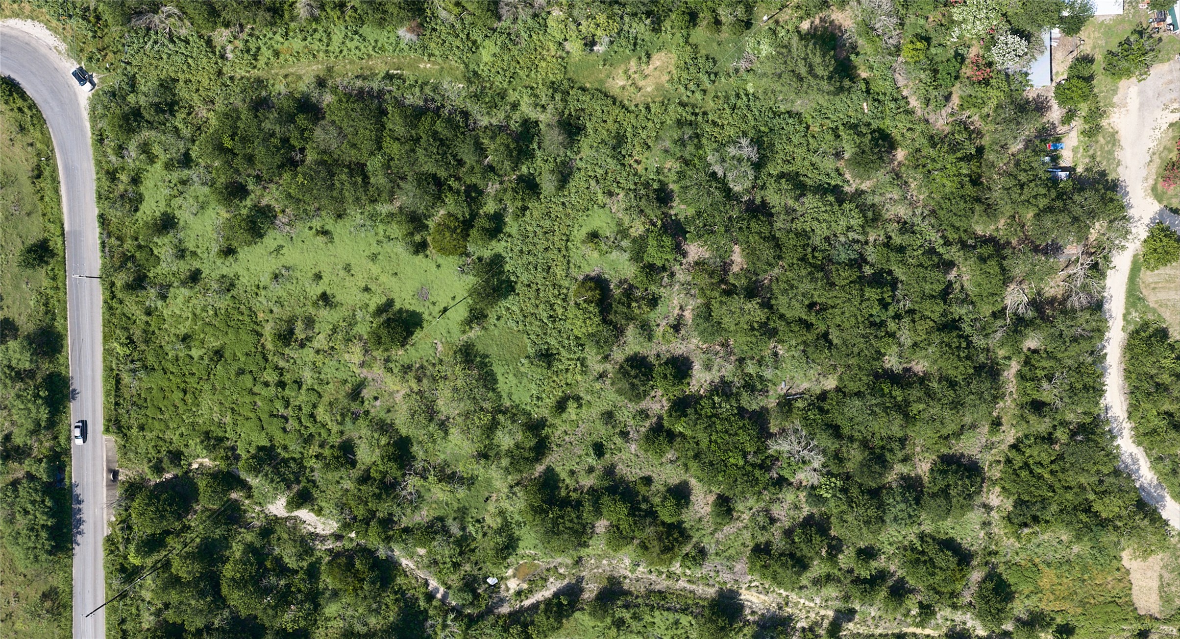 1400 Williamson Road Kyle, TX 78640 - Photo 12 of 13 A verdant, undeveloped land parcel with diverse foliage and a winding road along its edge.