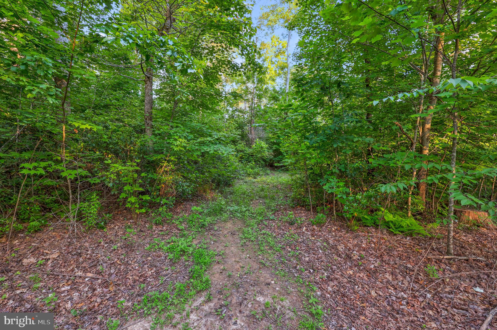 Lot 27-66b Kovi Ridge Trail Reva, VA 22735 - Photo 8 of 20