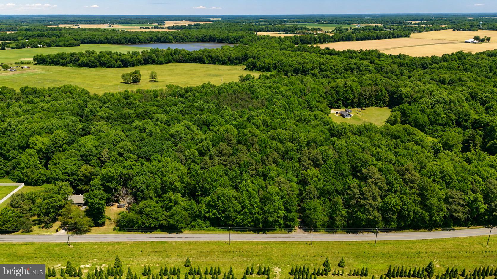 Havercamp Road Preston, MD 21655 - Photo 5 of 6