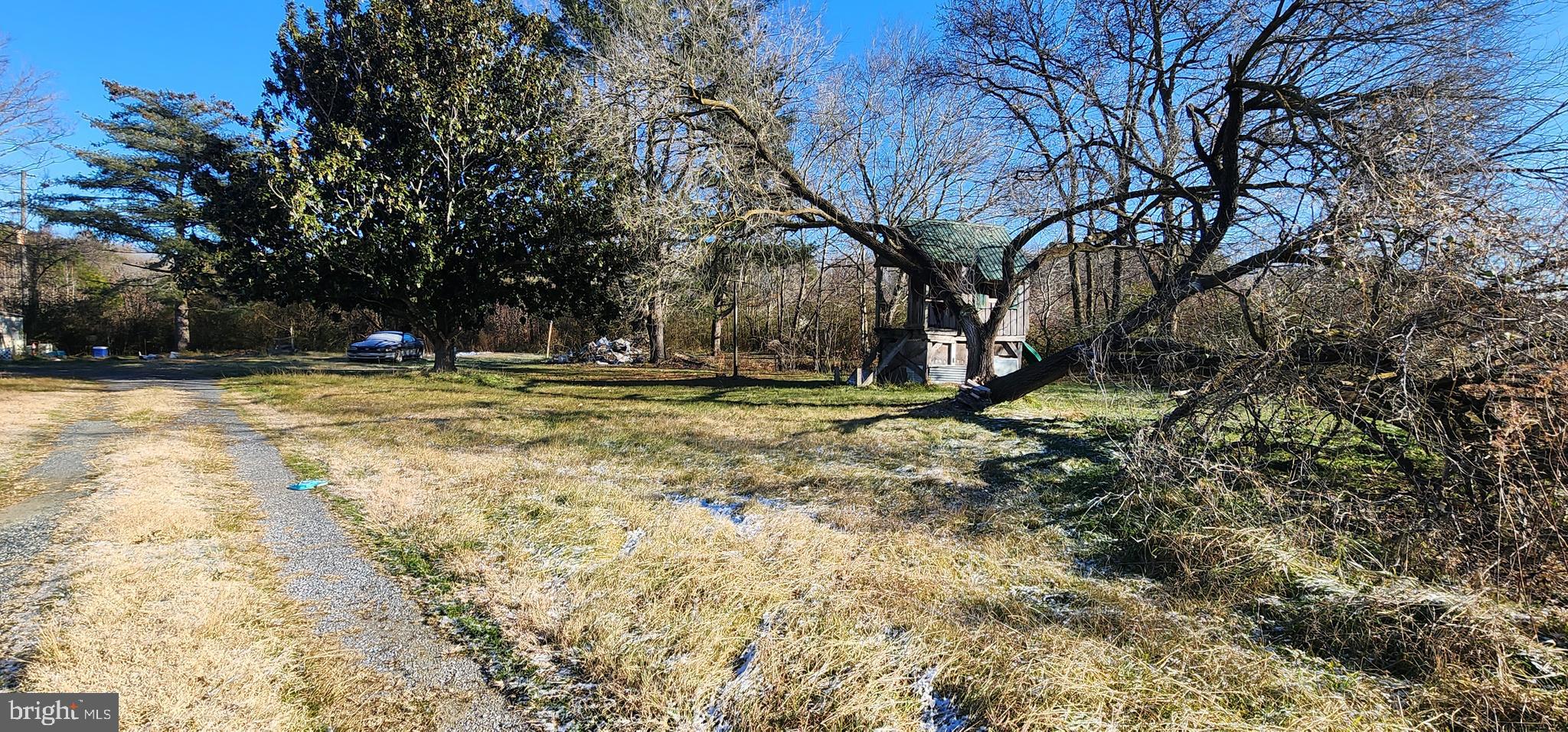 4209 Stockton Road Pocomoke City, MD 21851 - Photo 3 of 6 a view of outdoor space with trees