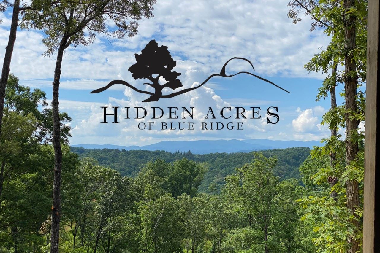 0 Hidden Acres Blue Ridge, Unit LOT 4 Blue Ridge, GA 30513 - Photo 1 of 1 a view of outdoor space with signage and flags