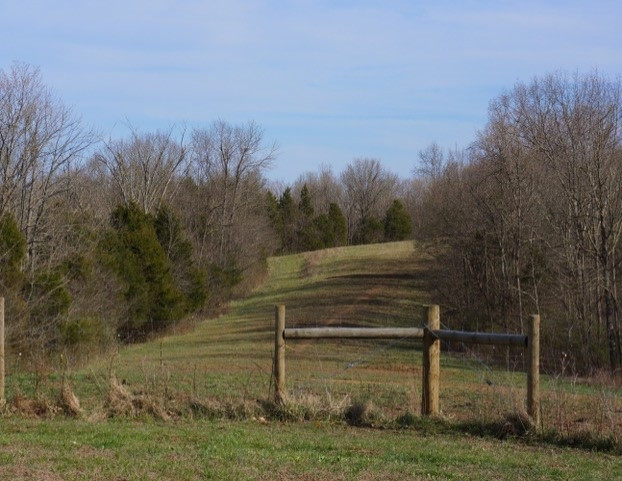 1175 Hammonds Road Ewing, KY 41039 - Photo 41 of 44 Gallery Image 41