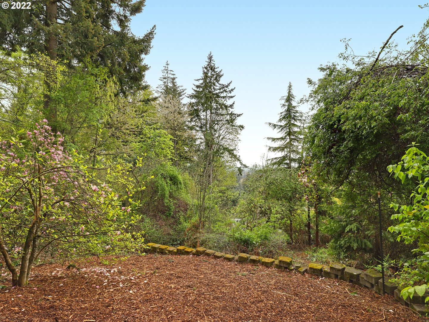 8500 Southwest Mapleridge Drive Portland, OR 97225 - Photo 29 of 30 a view of outdoor space and trees
