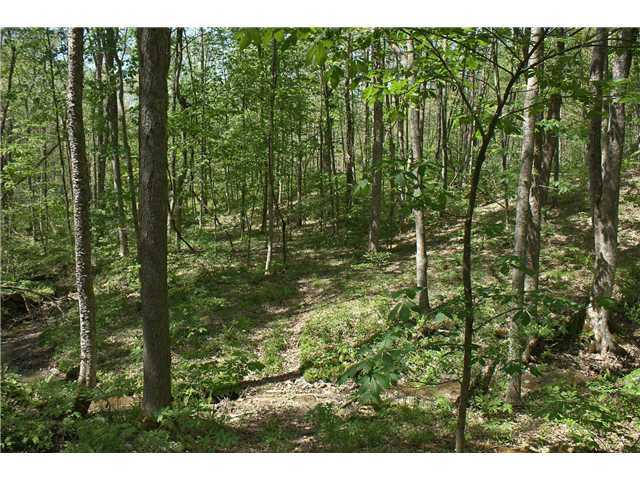 7915 Dutch Ridge Road New Straitsville, OH 43766 - Photo 8 of 24 Gallery Image 8