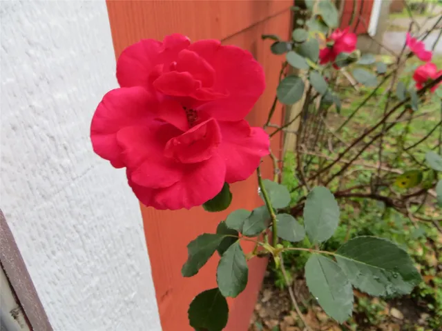 a bathroom with a bathtub and shower