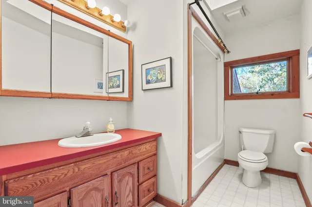 a bathroom with a toilet a sink and mirror