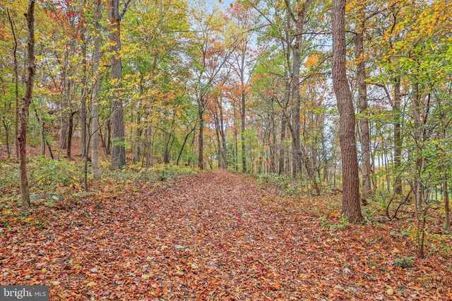 a house is sitting in middle of the forest