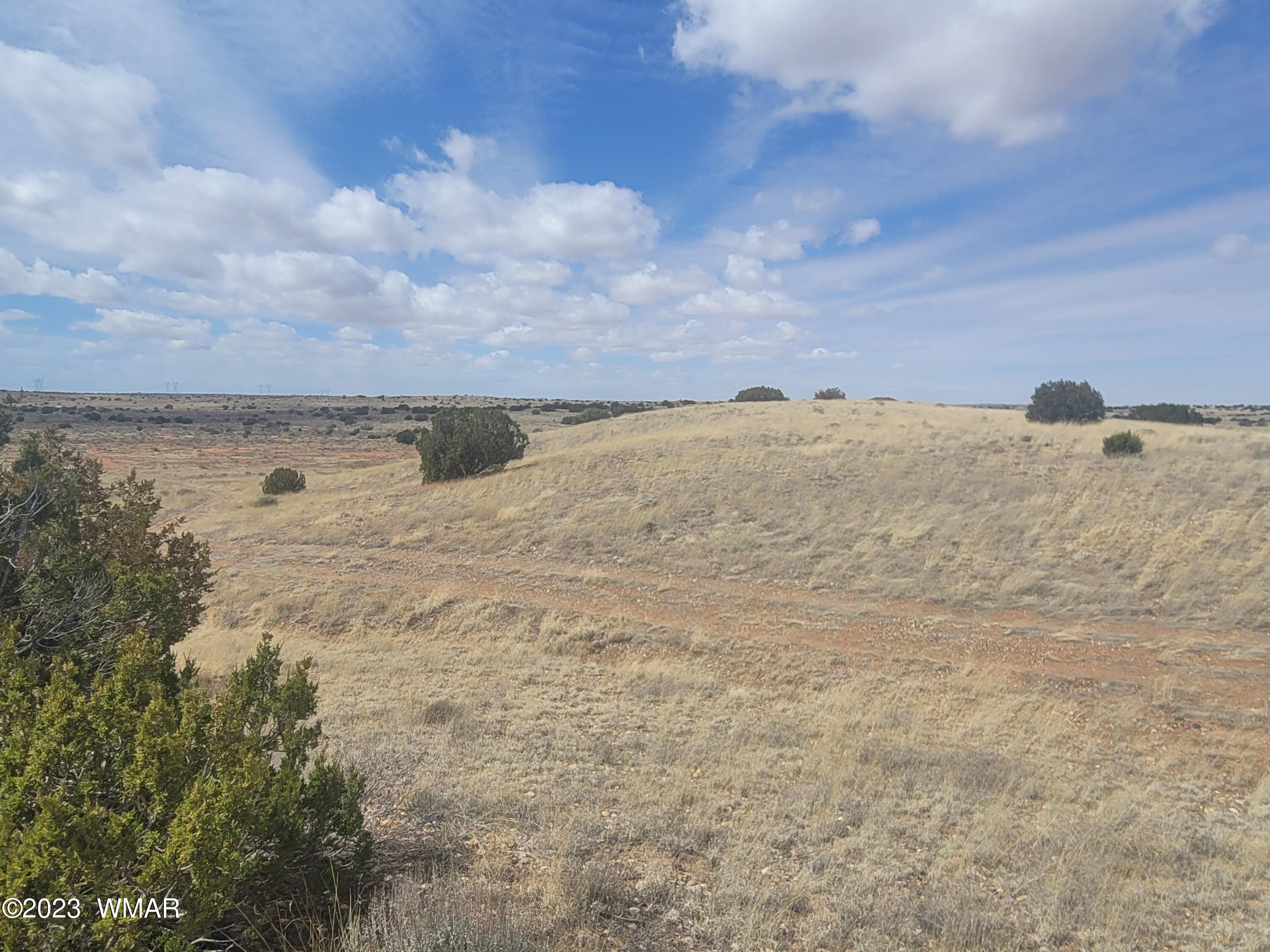 5446 Valley Road Snowflake, AZ 85937 - Photo 3 of 14 Gallery Image 3
