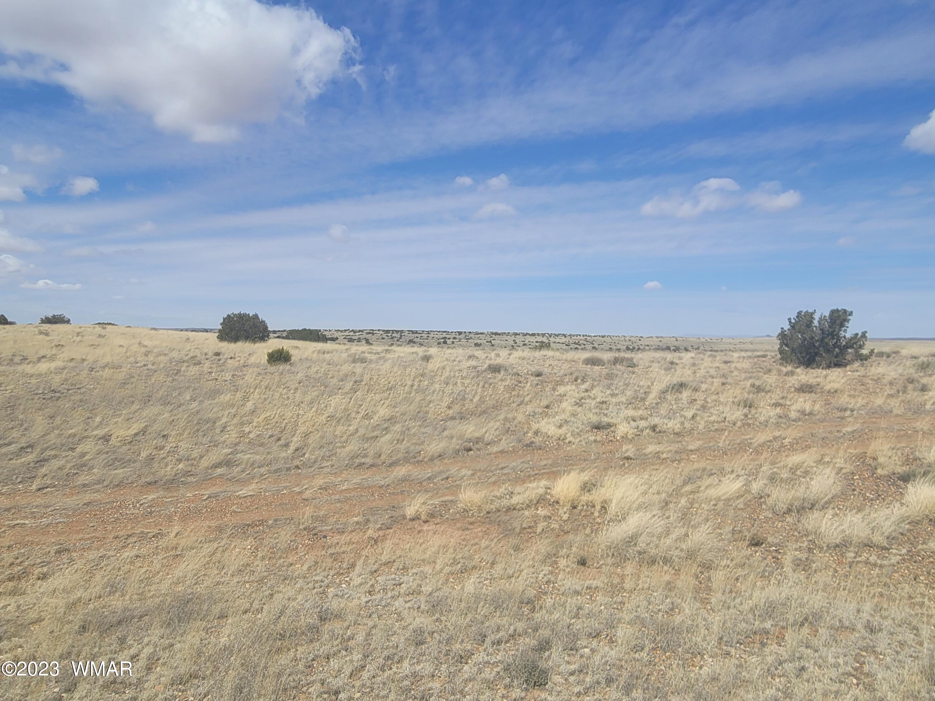 5446 Valley Road Snowflake, AZ 85937 - Photo 4 of 14 Gallery Image 4