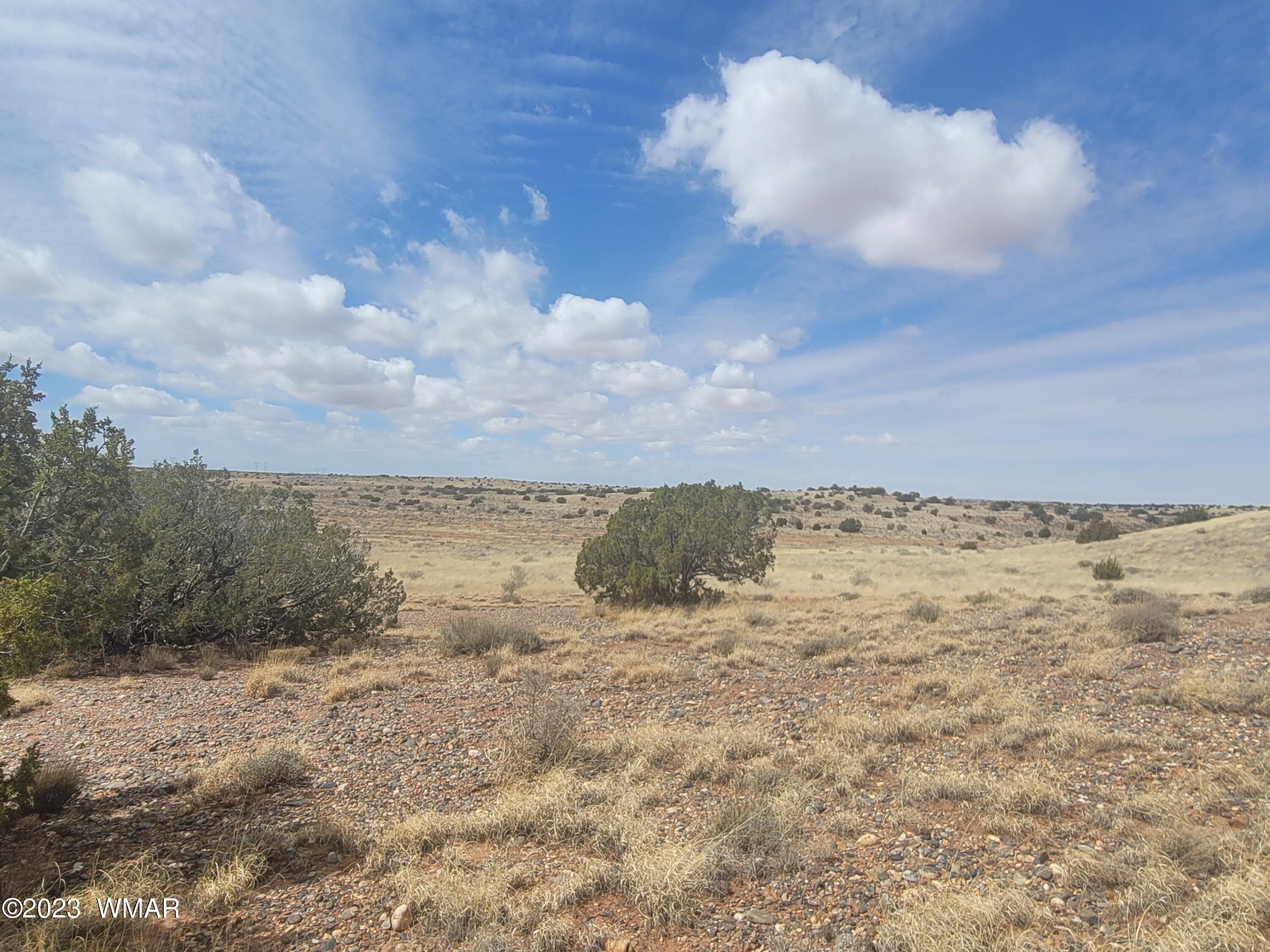 5446 Valley Road Snowflake, AZ 85937 - Photo 8 of 14 Gallery Image 8