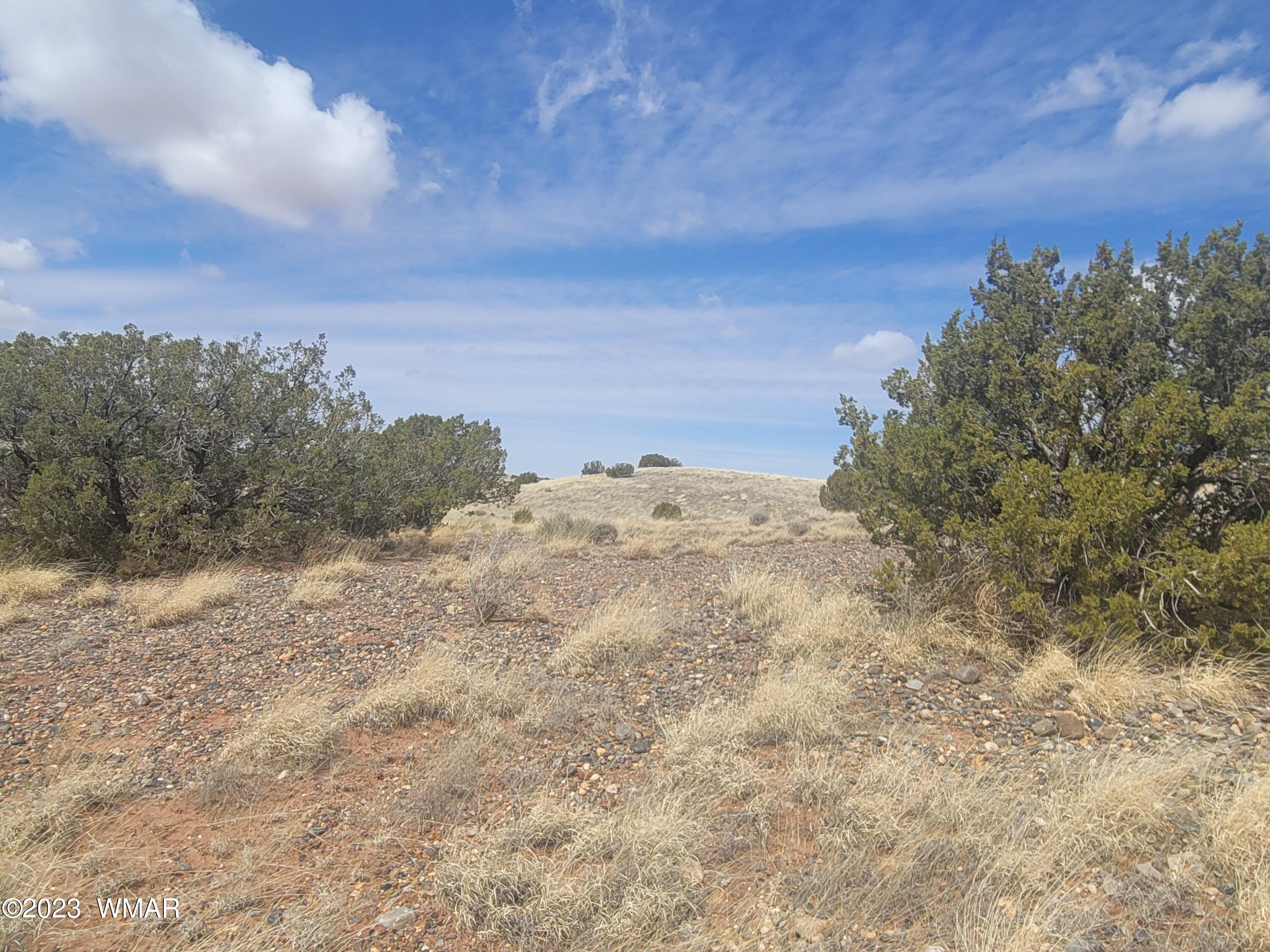 5446 Valley Road Snowflake, AZ 85937 - Photo 9 of 14 Gallery Image 9