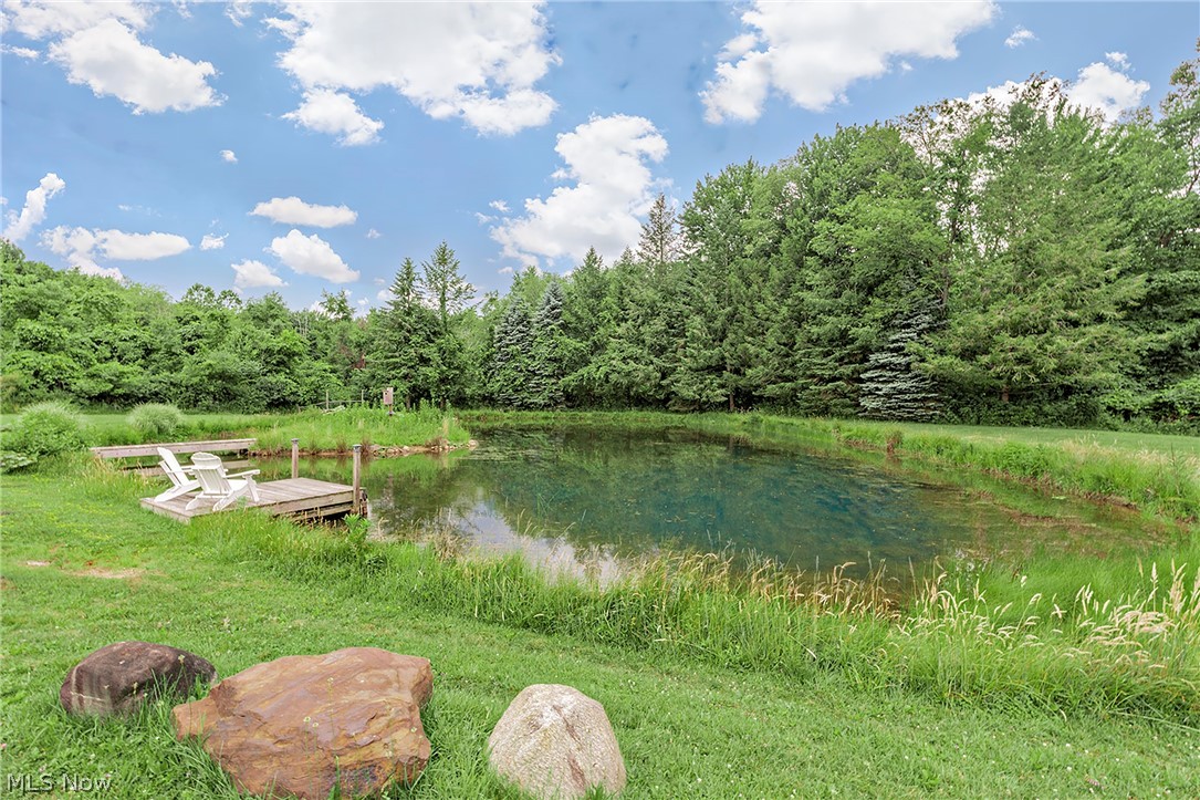 11292 Butternut Road Chardon, OH 44024 - Photo 41 of 49 Private pond featuring a wooden dock, surrounded by mature trees and natural landscaping