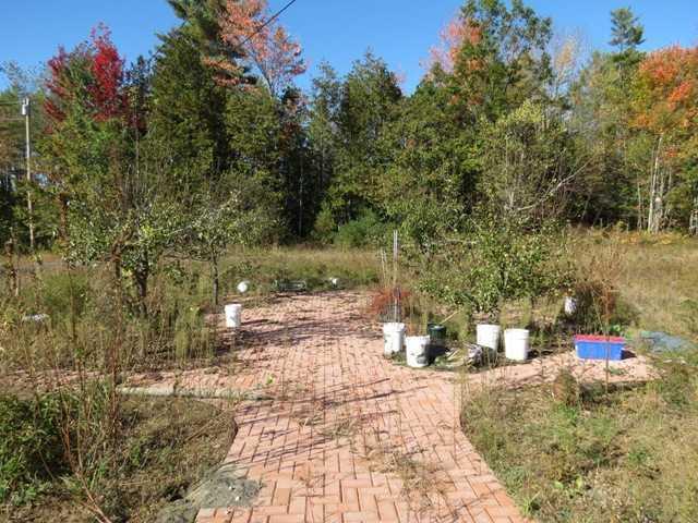 571 East Madison Road Madison, ME 04950 - Photo 22 of 27 Yard/Garden.