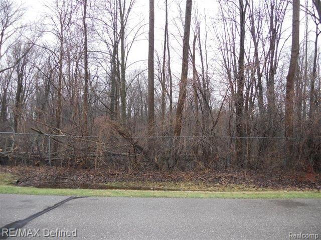 3311 Culbertson Avenue Rochester, MI 48307 - Photo 13 of 15 View from House