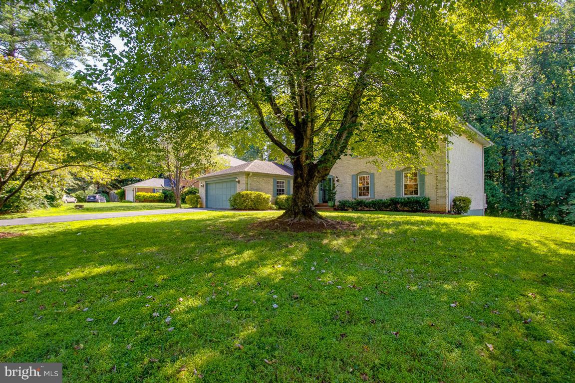 734 Ridge Drive McLean, VA 22101 - Photo 9 of 9 Awesome Lot (.46 Acres) backs to Parkland!