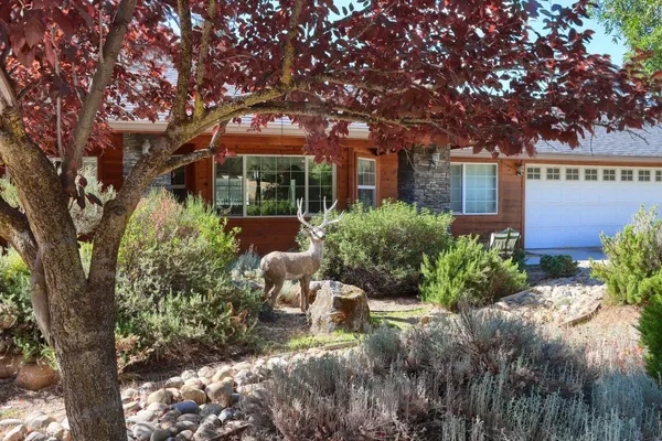 a view of a backyard with potted plants