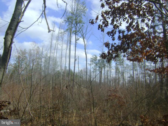 Peaviner Ridgely, MD 21660 - Photo 2 of 4 LOT