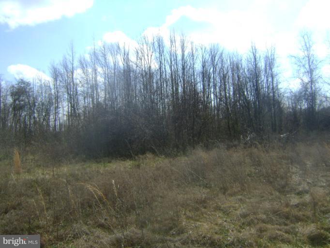 Peaviner Ridgely, MD 21660 - Photo 3 of 4 LOT