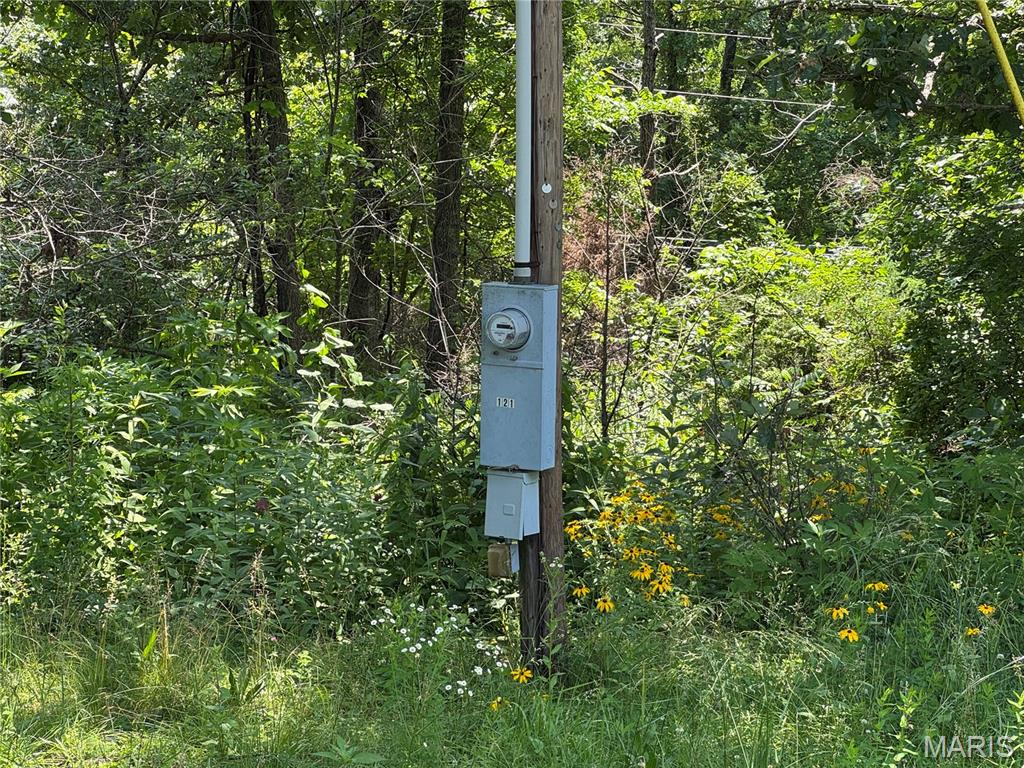 20055 Hartford Road Dixon, MO 65459 - Photo 3 of 6