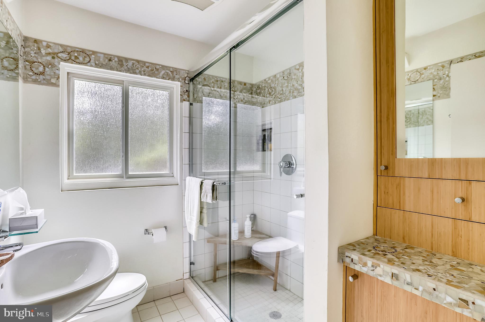 4522 Albion Road College Park, MD 20740 - Photo 15 of 76 Bath-remodeled w/custom mosaic tile & Toto Toilet