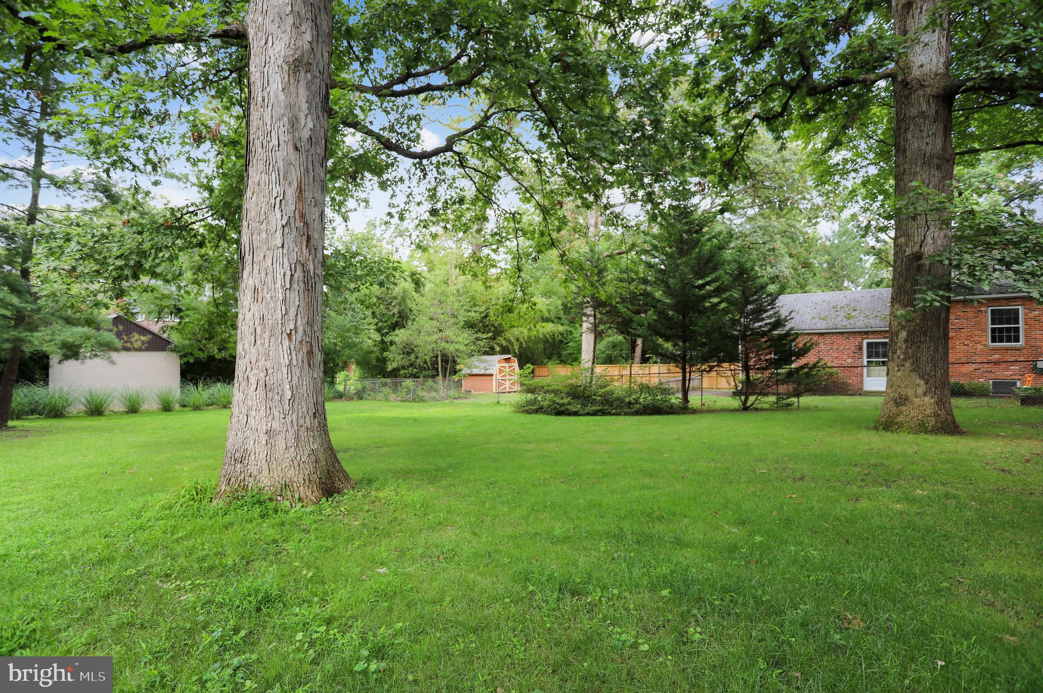 4522 Albion Road College Park, MD 20740 - Photo 35 of 76 Rear Lawn-get your landscaping books ready!