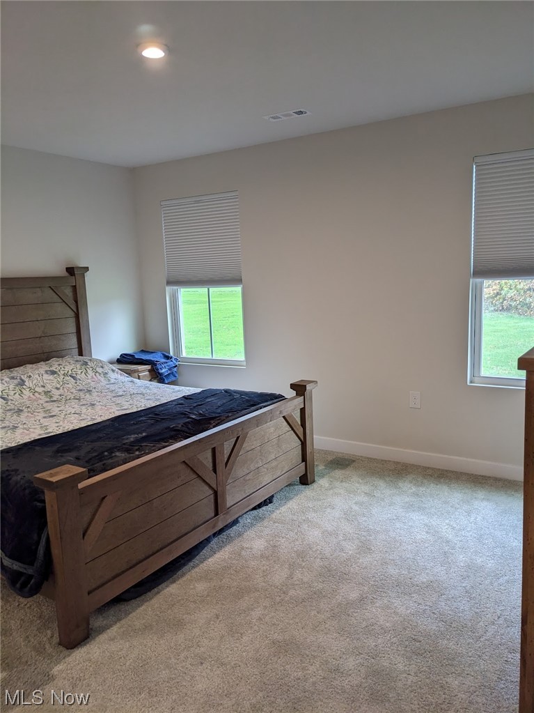 174 West Spring Drive Elyria, OH 44035 - Photo 12 of 19 Carpeted bedroom featuring multiple windows