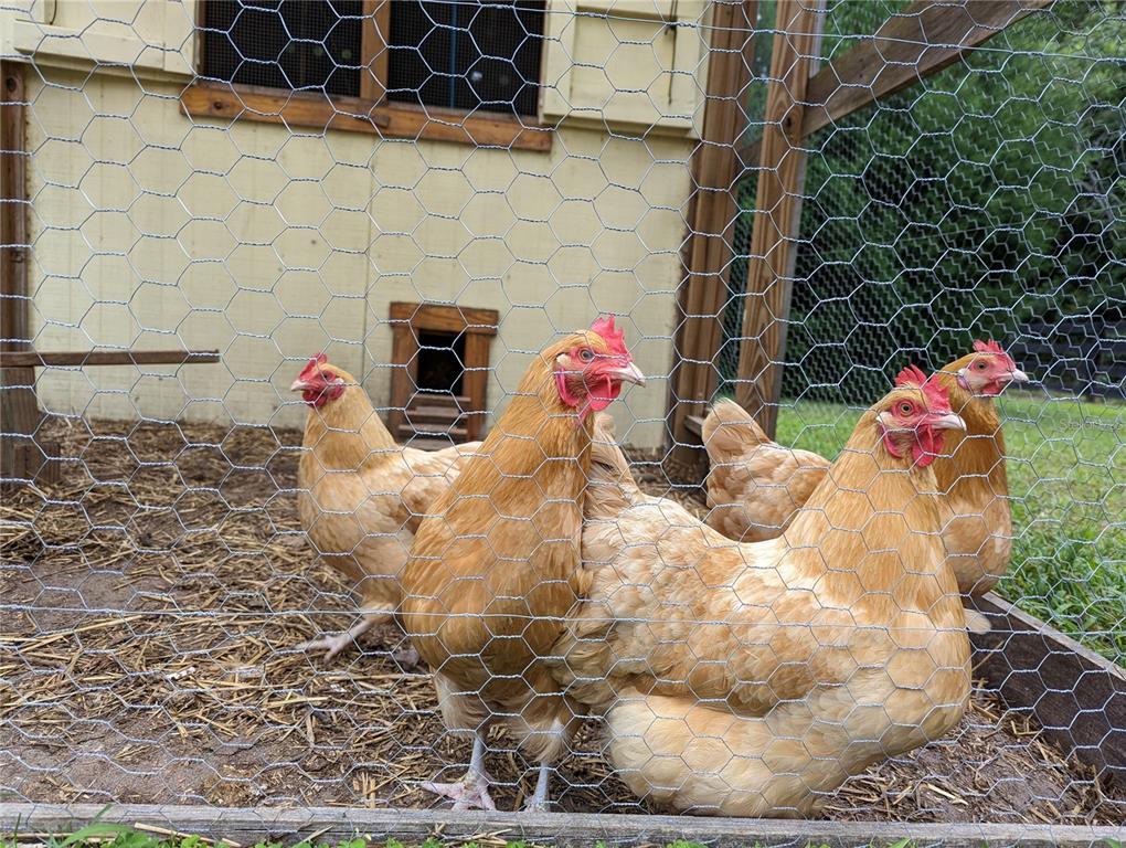 9145 Northwest 193rd Street Micanopy, FL 32667 - Photo 64 of 88