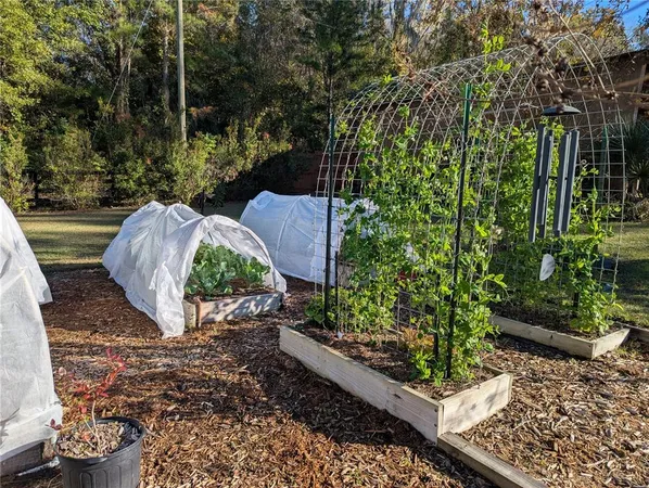 $975,000 | 9145 Northwest 193rd Street, Micanopy, FL 32667