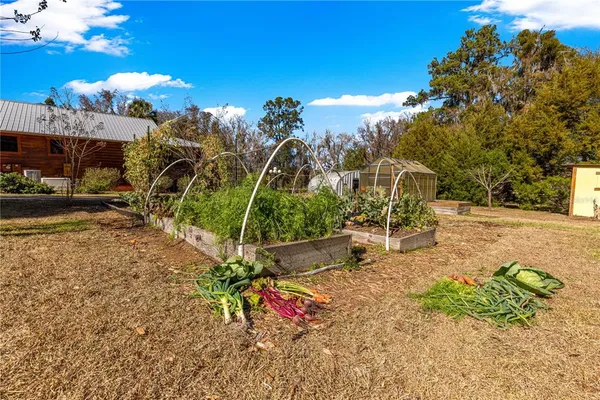 $975,000 | 9145 Northwest 193rd Street, Micanopy, FL 32667