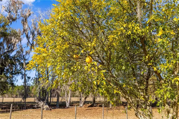 a view of a livingroom with wooden floor and a ceiling fan