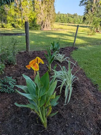 $975,000 | 9145 Northwest 193rd Street, Micanopy, FL 32667