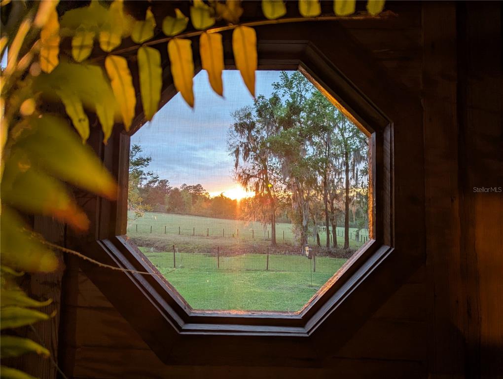 9145 Northwest 193rd Street Micanopy, FL 32667 - Photo 87 of 88