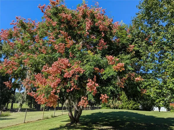 $975,000 | 9145 Northwest 193rd Street, Micanopy, FL 32667