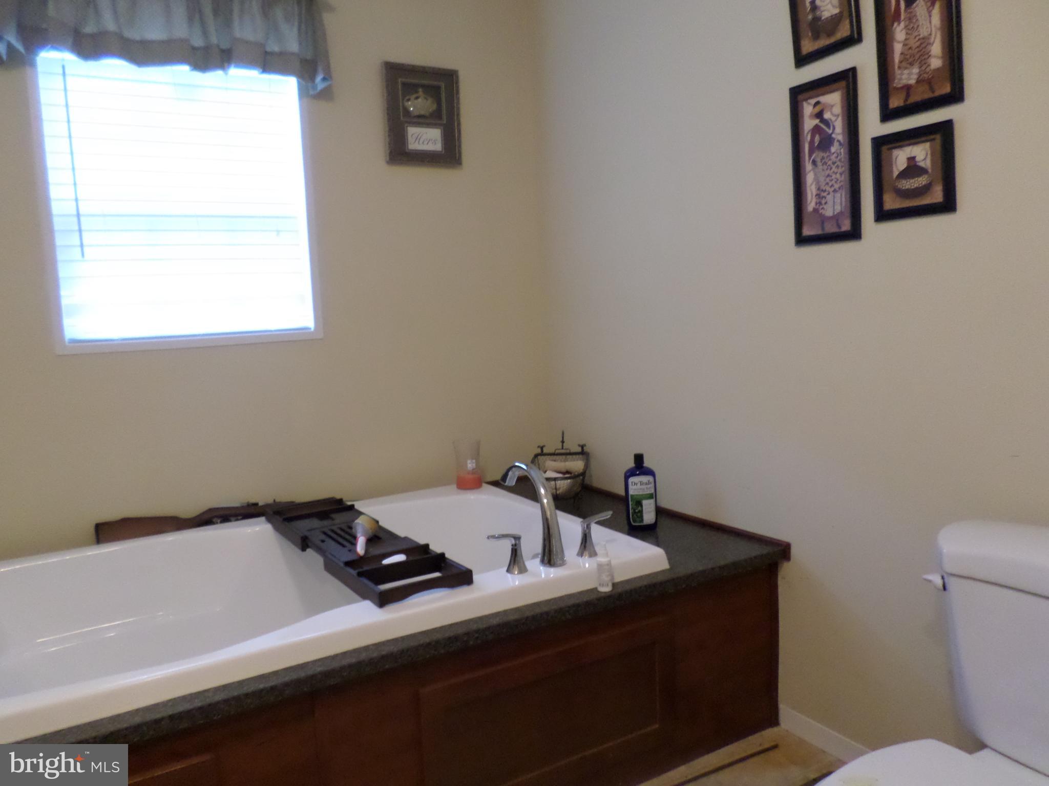 54 Forest Grove Road Colonial Beach, VA 22443 - Photo 16 of 18 Master Bathroom