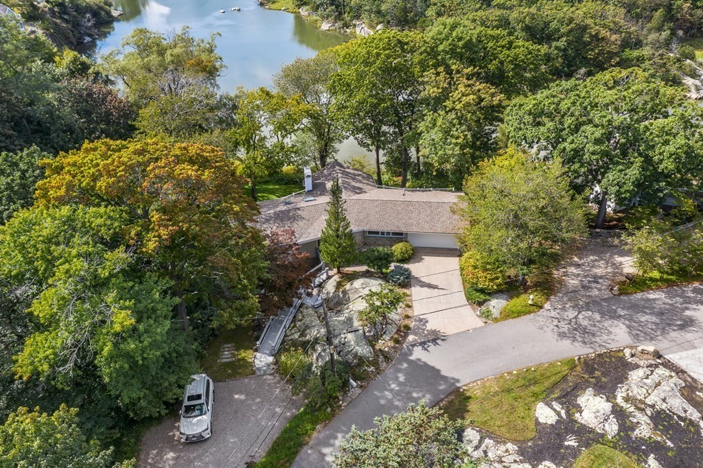 78 Nichols Road Cohasset, MA 02025 - Photo 22 of 23 a view of a yard with plants and large trees