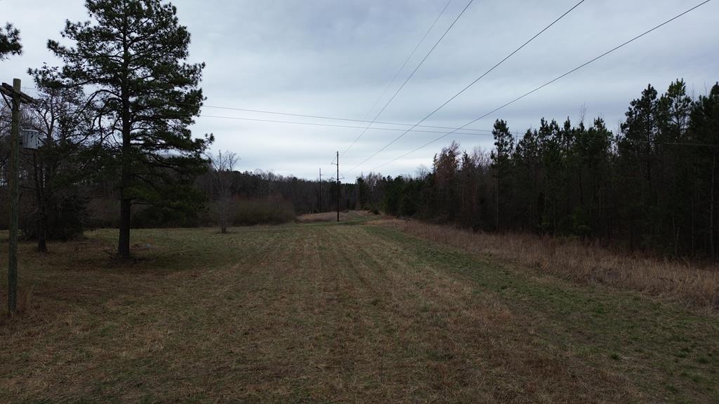 4293 Grandy Road Brodnax, VA 23920 - Photo 19 of 25 Gallery Image 19