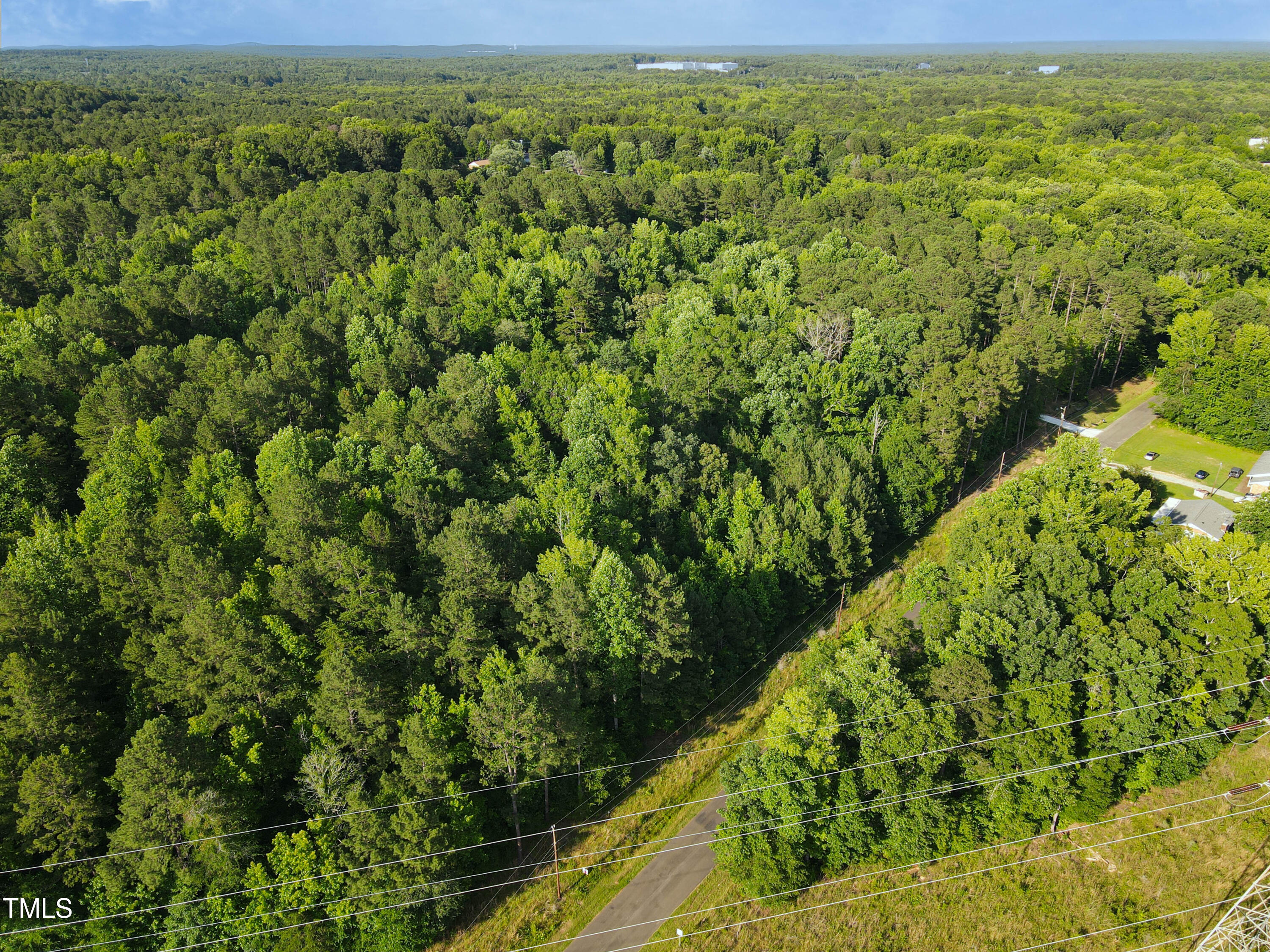 1617 Torredge Road Durham, NC 27712 - Photo 2 of 8 a view of a lush green forest with a lake
