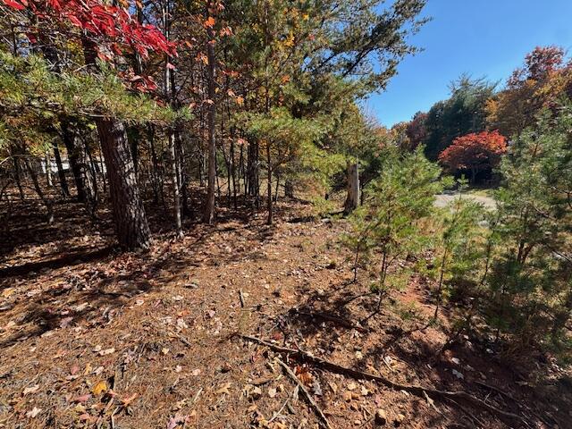 Lot 72 Gap Bridge Road Moneta, VA 24121 - Photo 1 of 10 IMG_6834