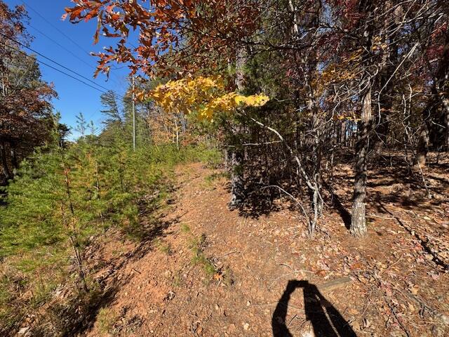 Lot 72 Gap Bridge Road Moneta, VA 24121 - Photo 2 of 10 IMG_6833