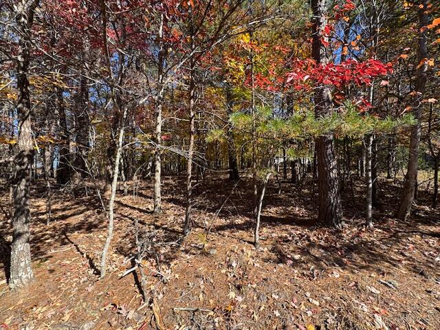 Lot 72 Gap Bridge Road Moneta, VA 24121 - Photo 3 of 10 IMG_6832